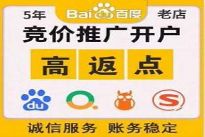 百度竞价SEM的秘密武器：案例背后的策略分析